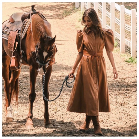 23 Soft Faux Leather Puff Short Sleeve Dress - Picture 6 of 7